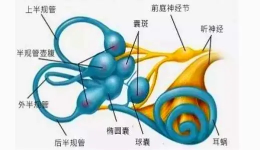 你了解暈車嗎？別把暈車簡單地看作是一種病