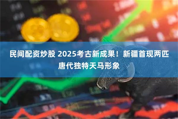民间配资炒股 2025考古新成果！新疆首现两匹唐代独特天马形象