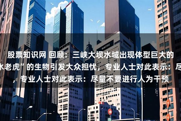 股票知识网 回顾：三峡大坝水域出现体型巨大的鱼类，大批被称为“水老虎”的生物引发大众担忧，专业人士对此表示：尽量不要进行人为干预